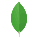 mongodb logo